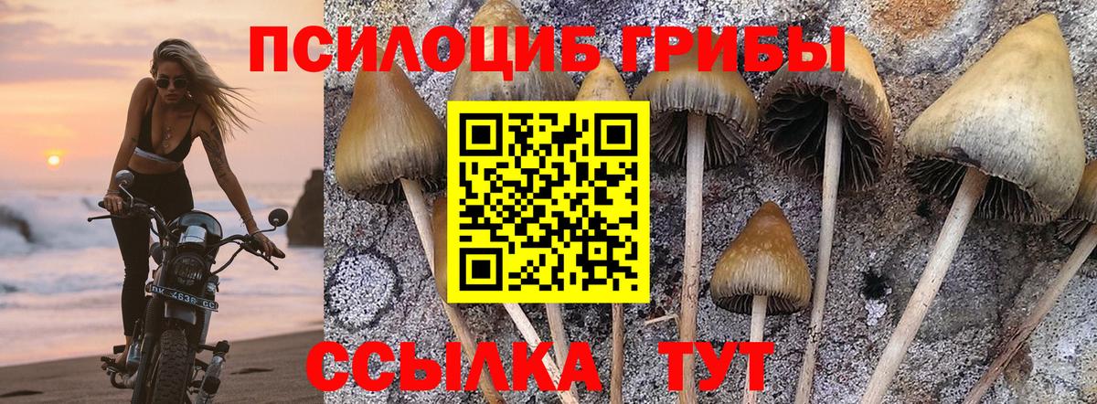 купить   Псилоцибиновые грибы мухоморы  Вход с VPN  Псилоцибиновые грибы ЛСД  Асбест 